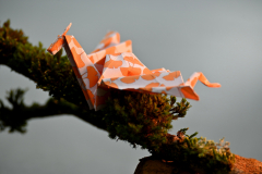 Origami_1