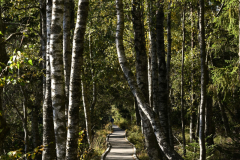 Natur14