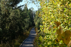 Natur23