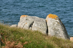 Natur28