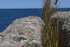 Natur29